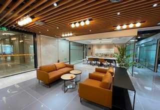 江苏不干胶防霉片批发