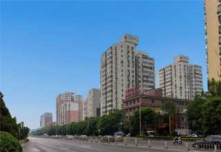 广州定做PE胶袋